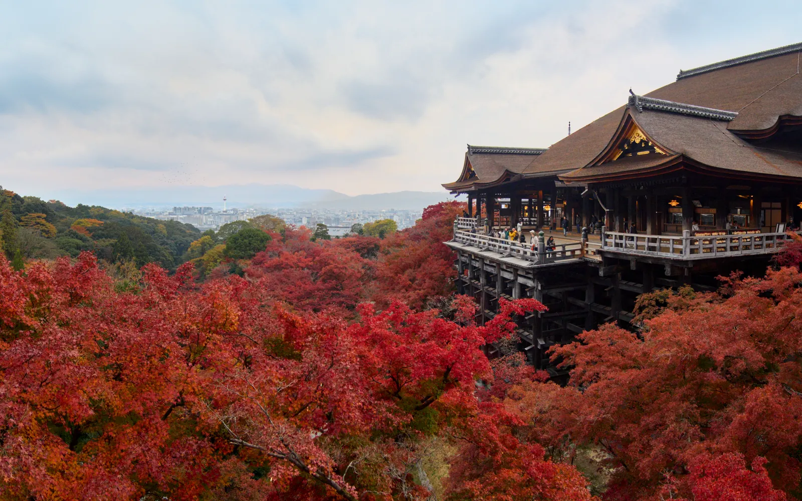 京都・大阪旅行封面
